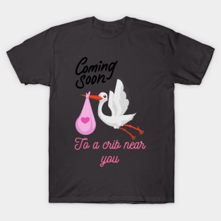 Stork bringing Baby T-Shirt